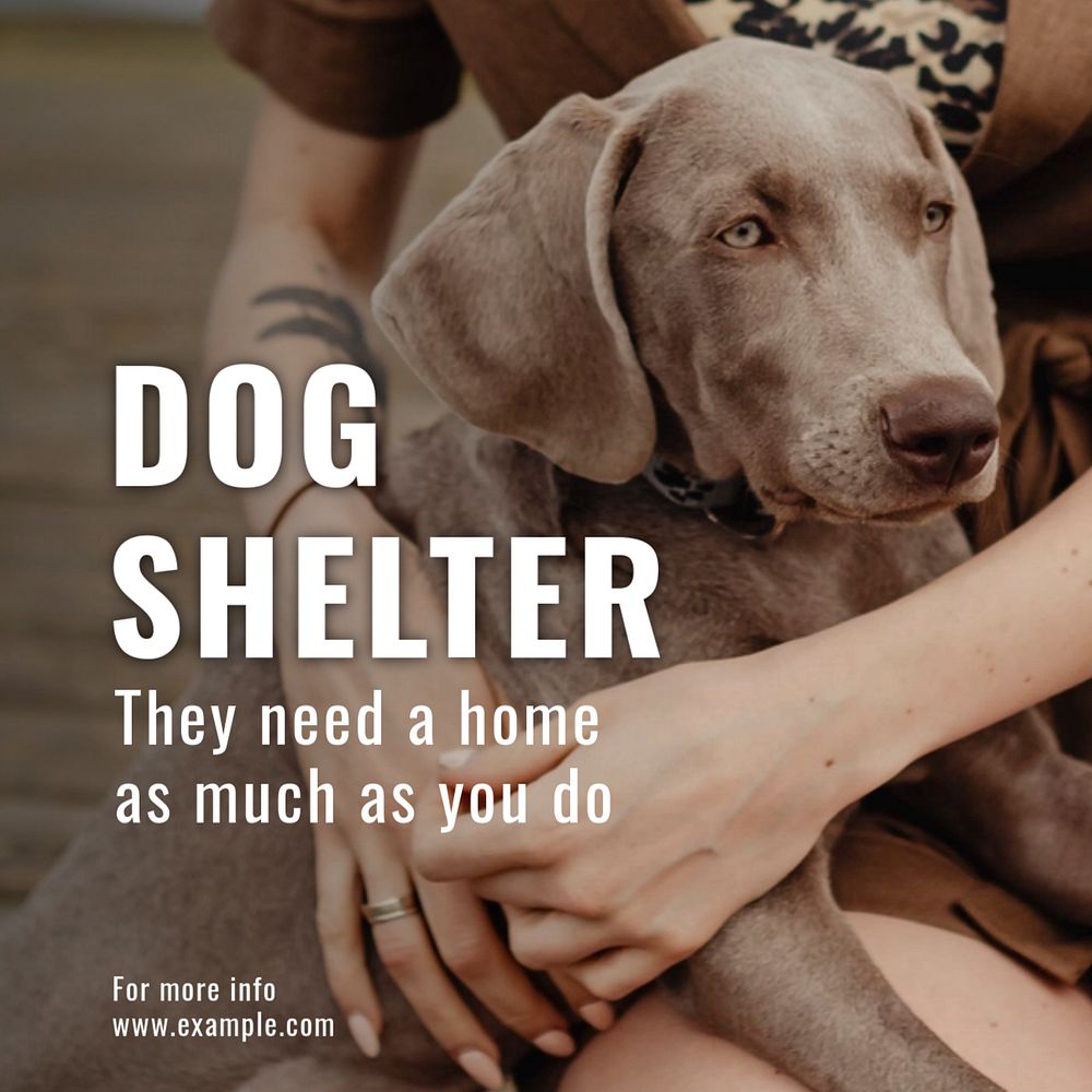 Dog shelter Instagram post template, editable text