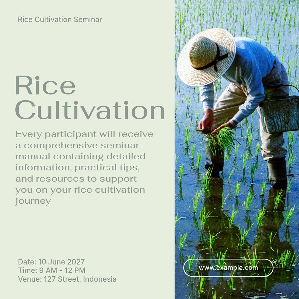 Rice cultivation Instagram post template, editable text