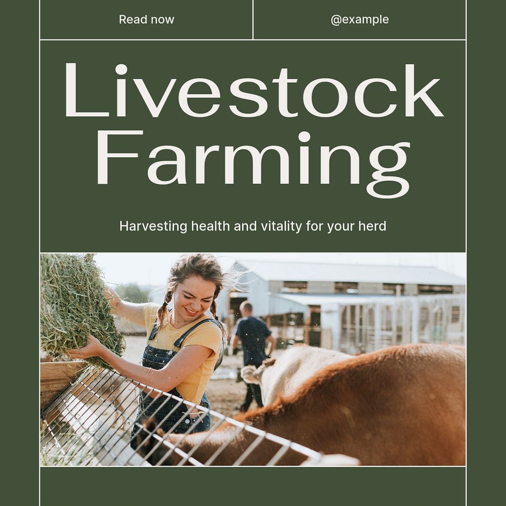 Livestock farming Instagram post template, editable text