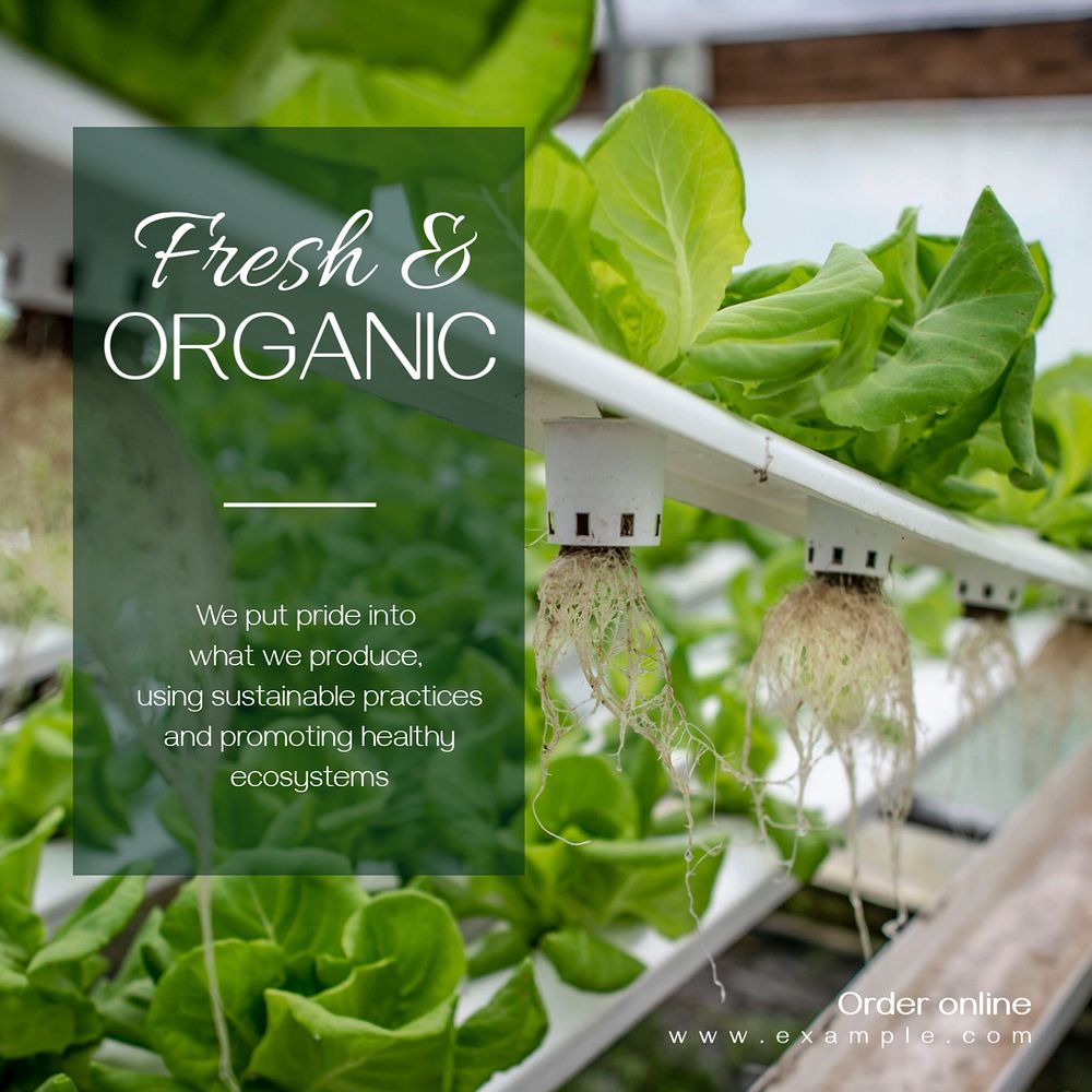 Organic farming Instagram post template, editable text