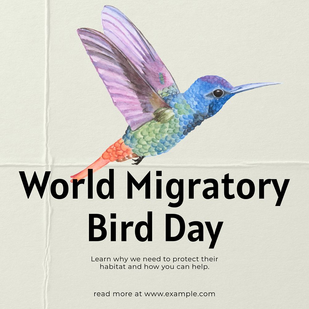 Migratory bird day Instagram post template, editable text