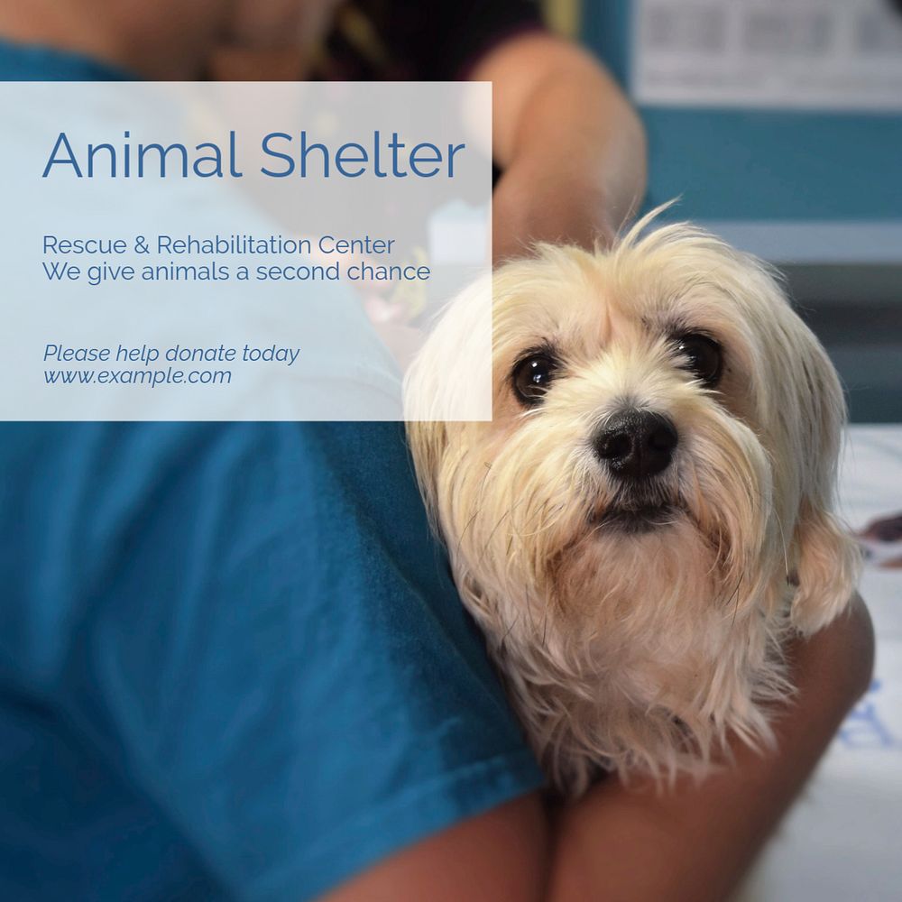 Animal shelter Instagram post template, editable text