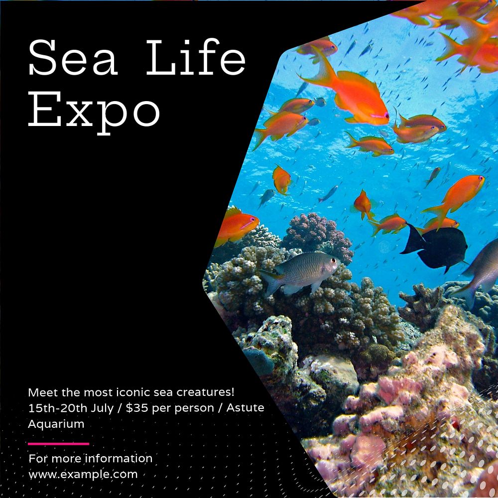 Sea life expo Instagram post template, editable text