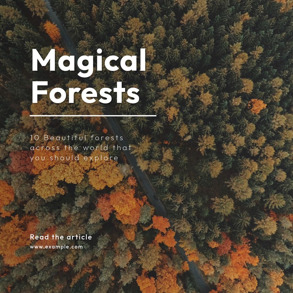 Magical forest Instagram post template, editable text