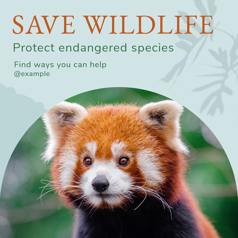 Save wildlife Instagram post template, editable text