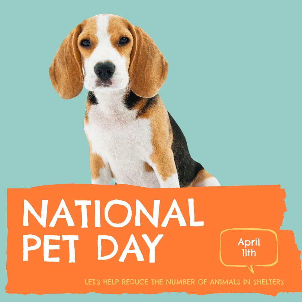 National pet day Facebook post template, editable design