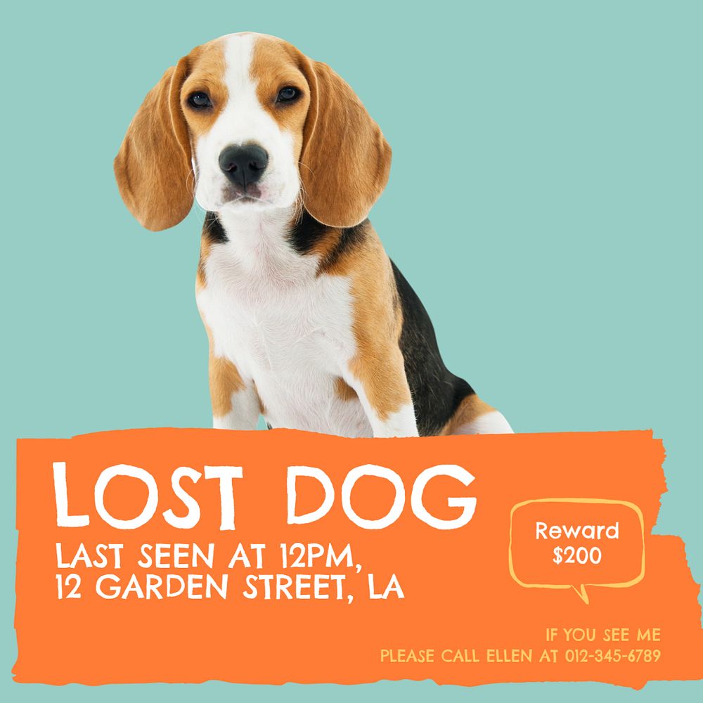 Lost dog Facebook post template, editable design