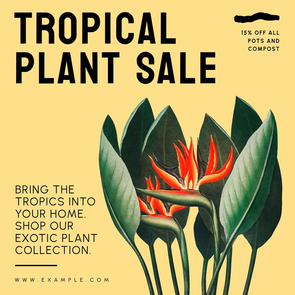 Tropical plant sale Instagram post template, editable text