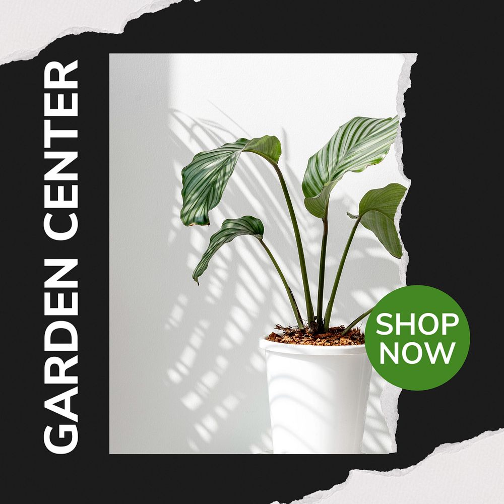 Garden center Instagram post template, editable text