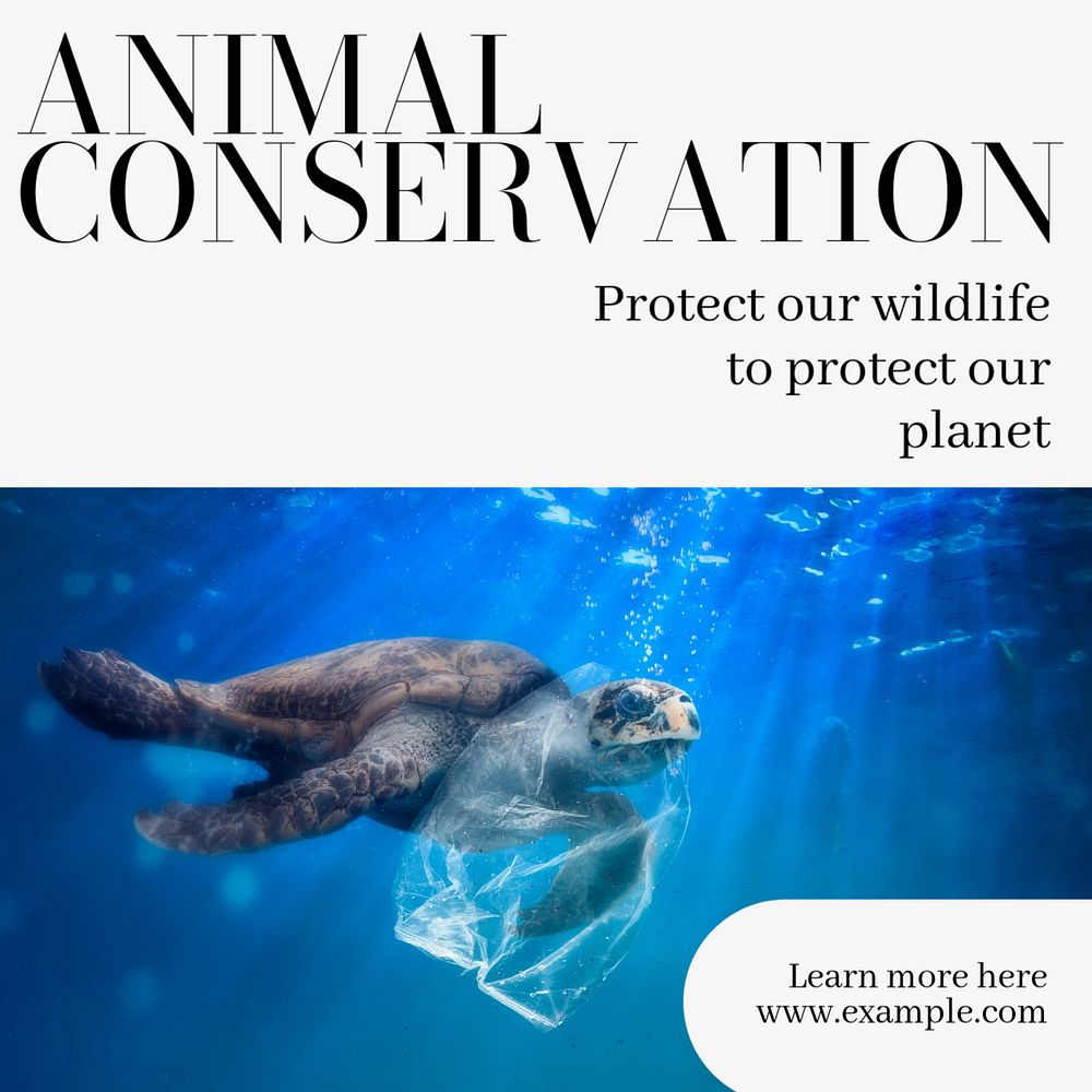 Animal conservation Instagram post template, editable text