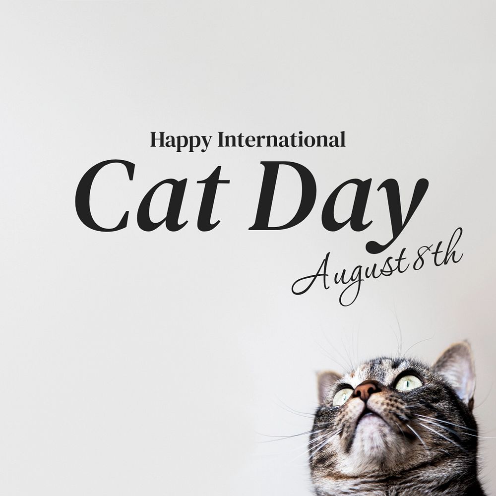 International cat day Instagram post template, editable text