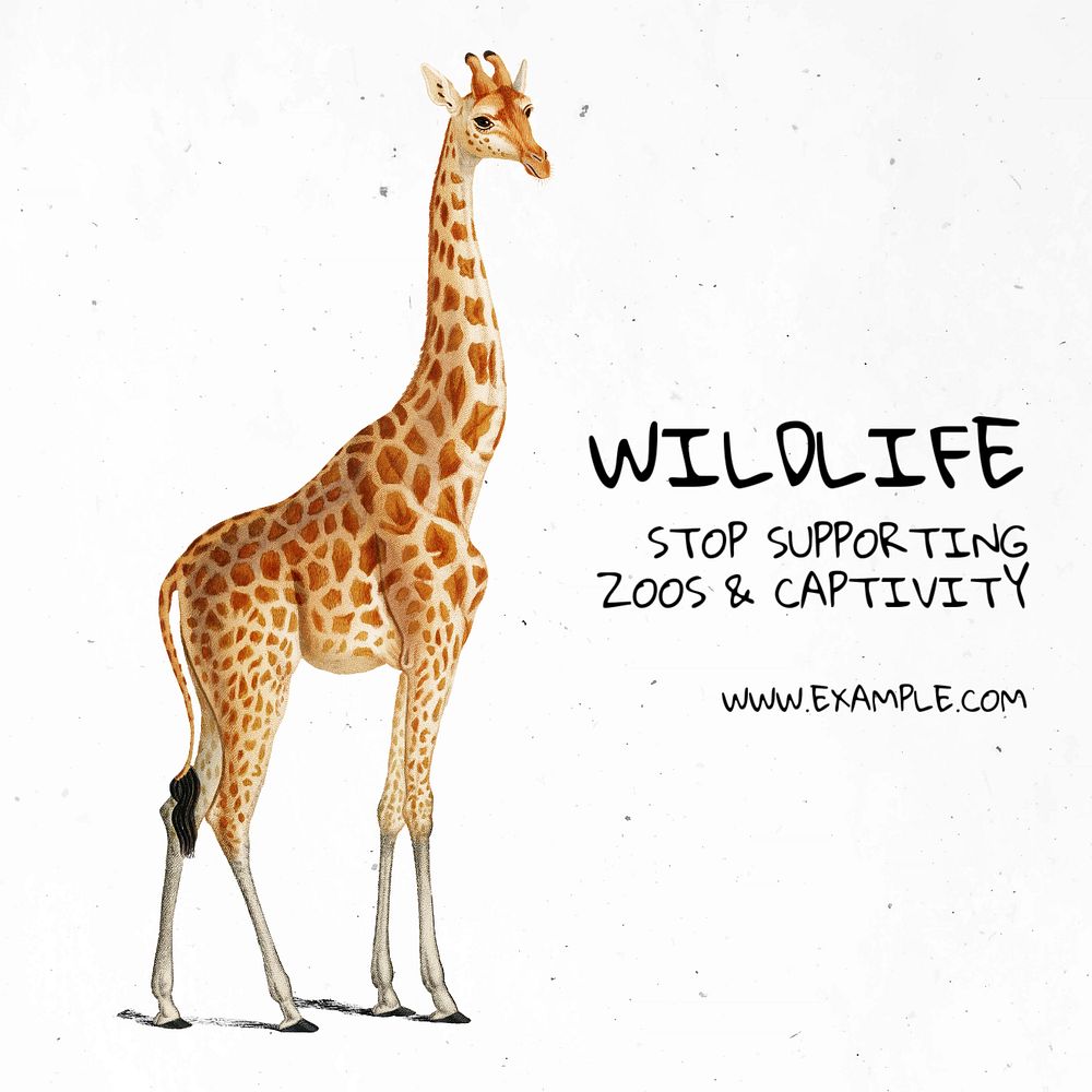 Stop wildlife captivity Instagram post template, editable text