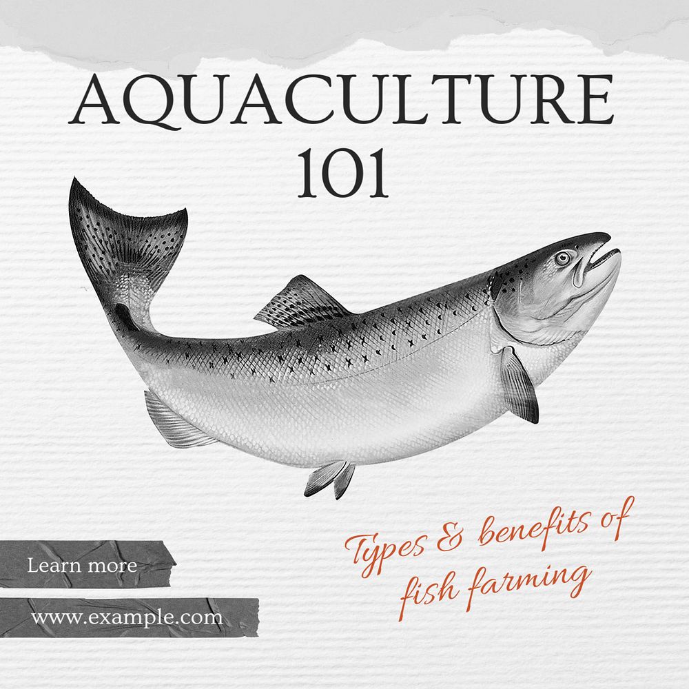 Fish farming Instagram post template, editable text