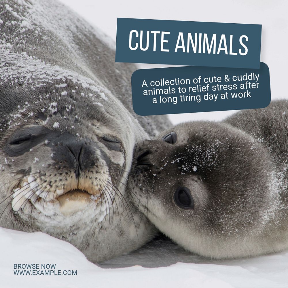 Cute animal Instagram post template, editable text