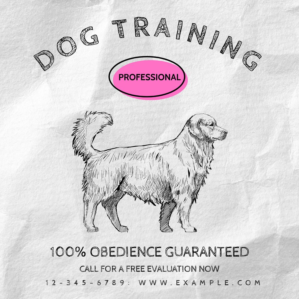 Dog training Instagram post template, editable text