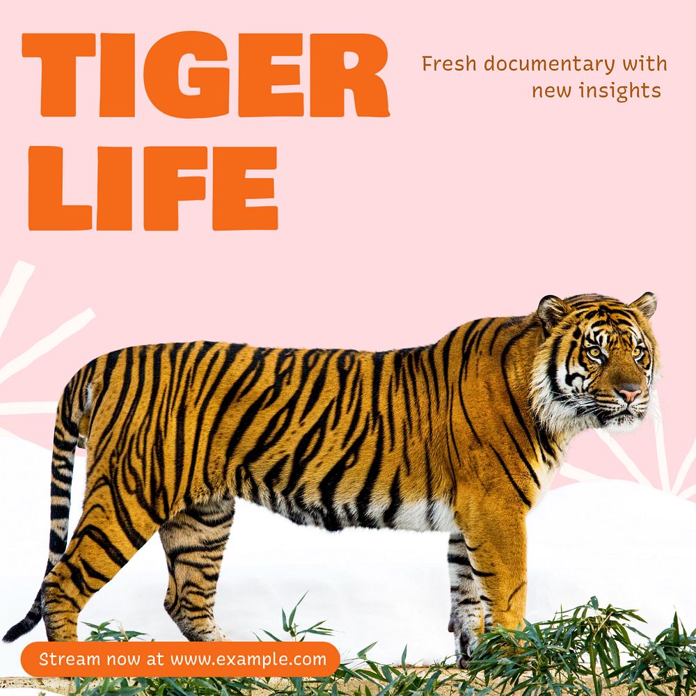 Tiger documentary Instagram post template, editable text