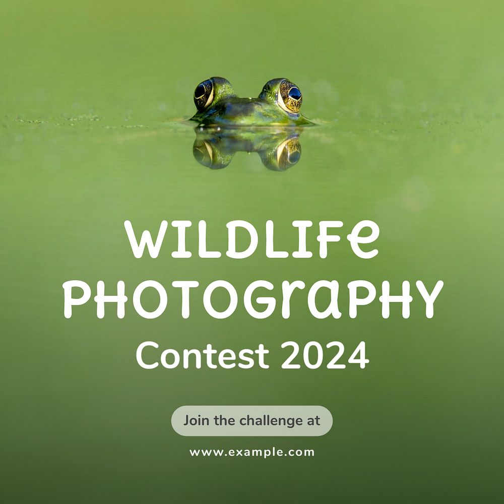 Wildlife photography contest Instagram post template, editable text