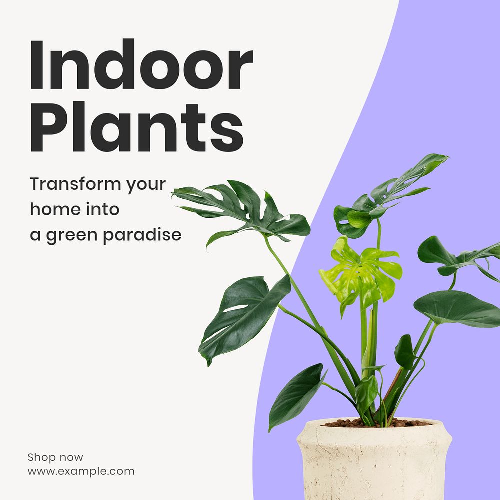 Indoor plants Instagram post template, editable text