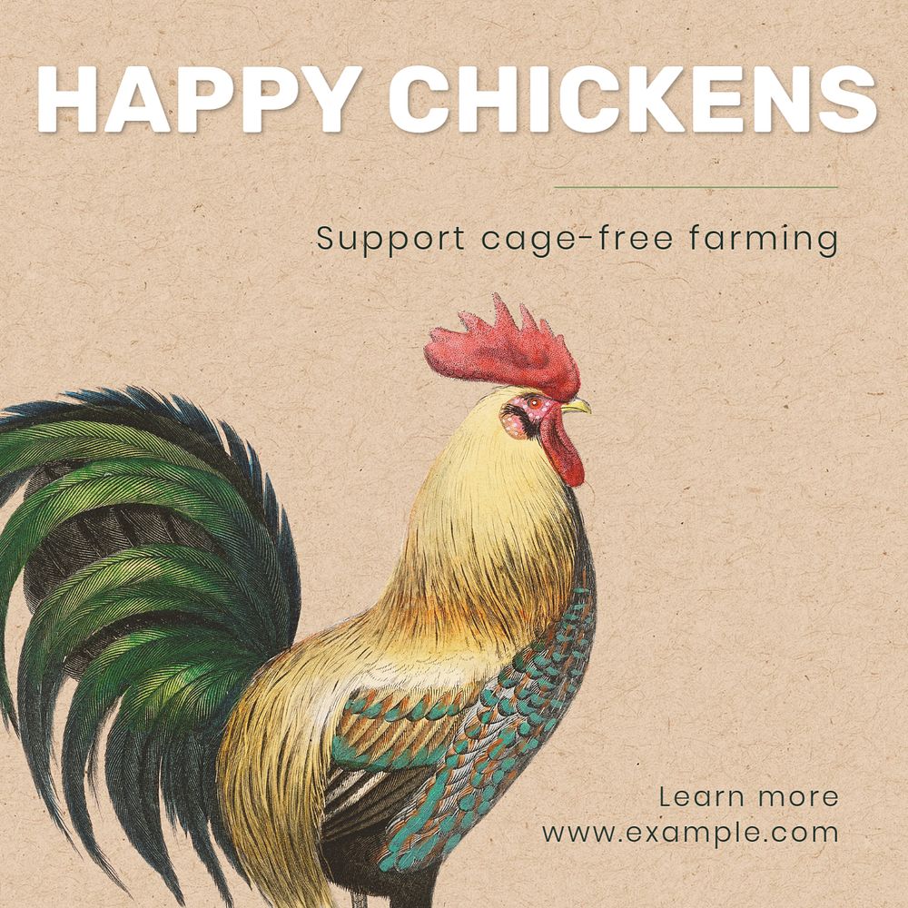 Happy hens Instagram post template, editable text