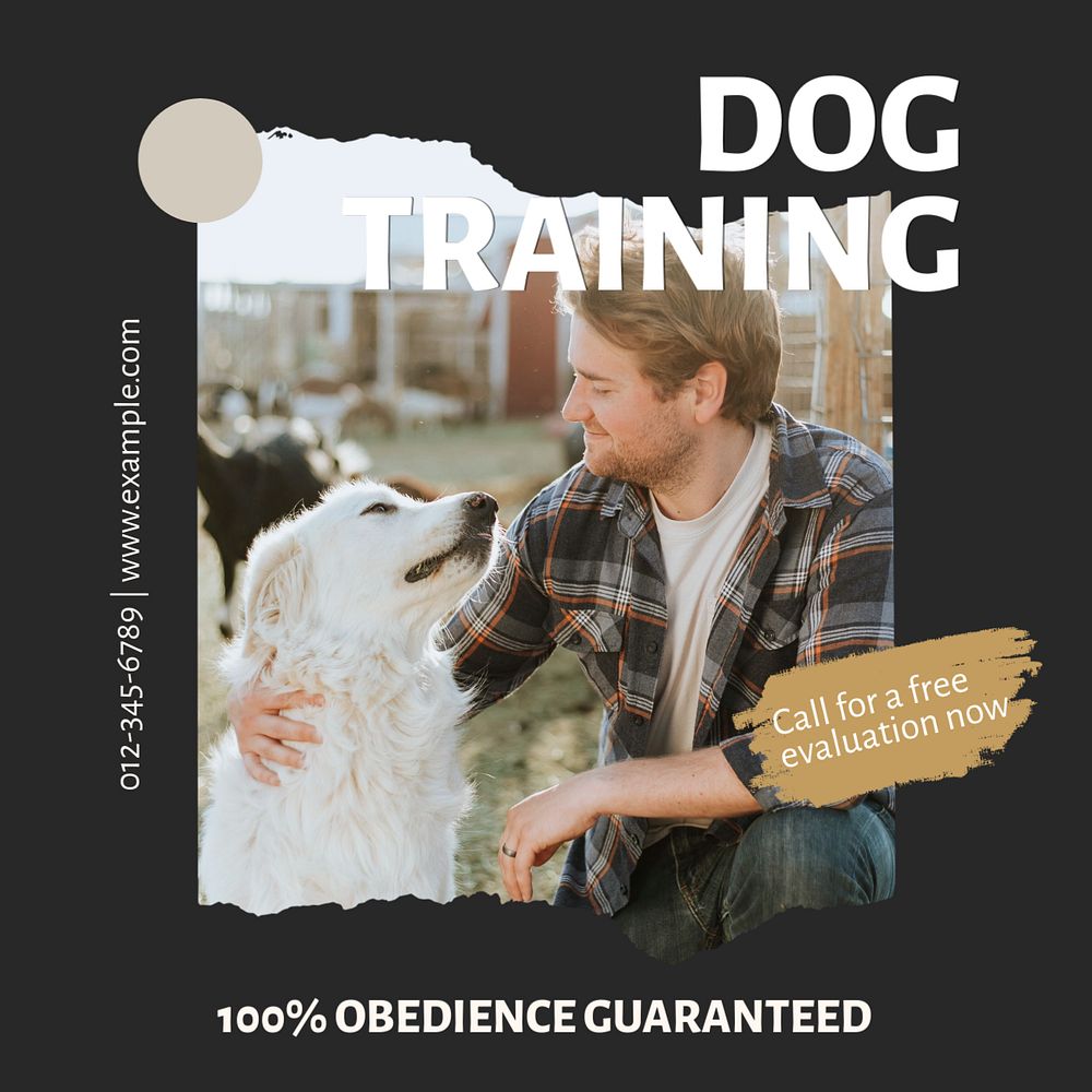 Dog training Instagram post template, editable text