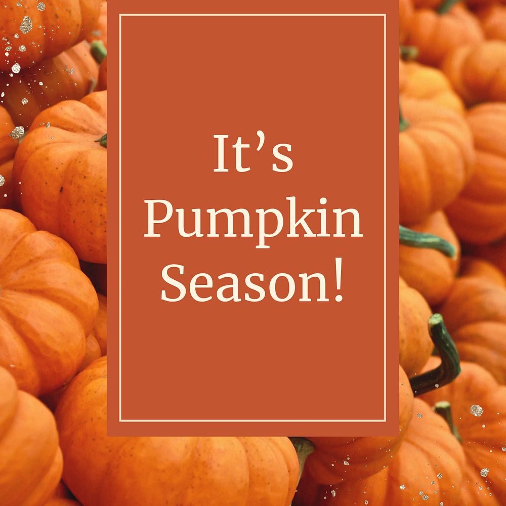 Pumpkin season  Instagram post template, editable text