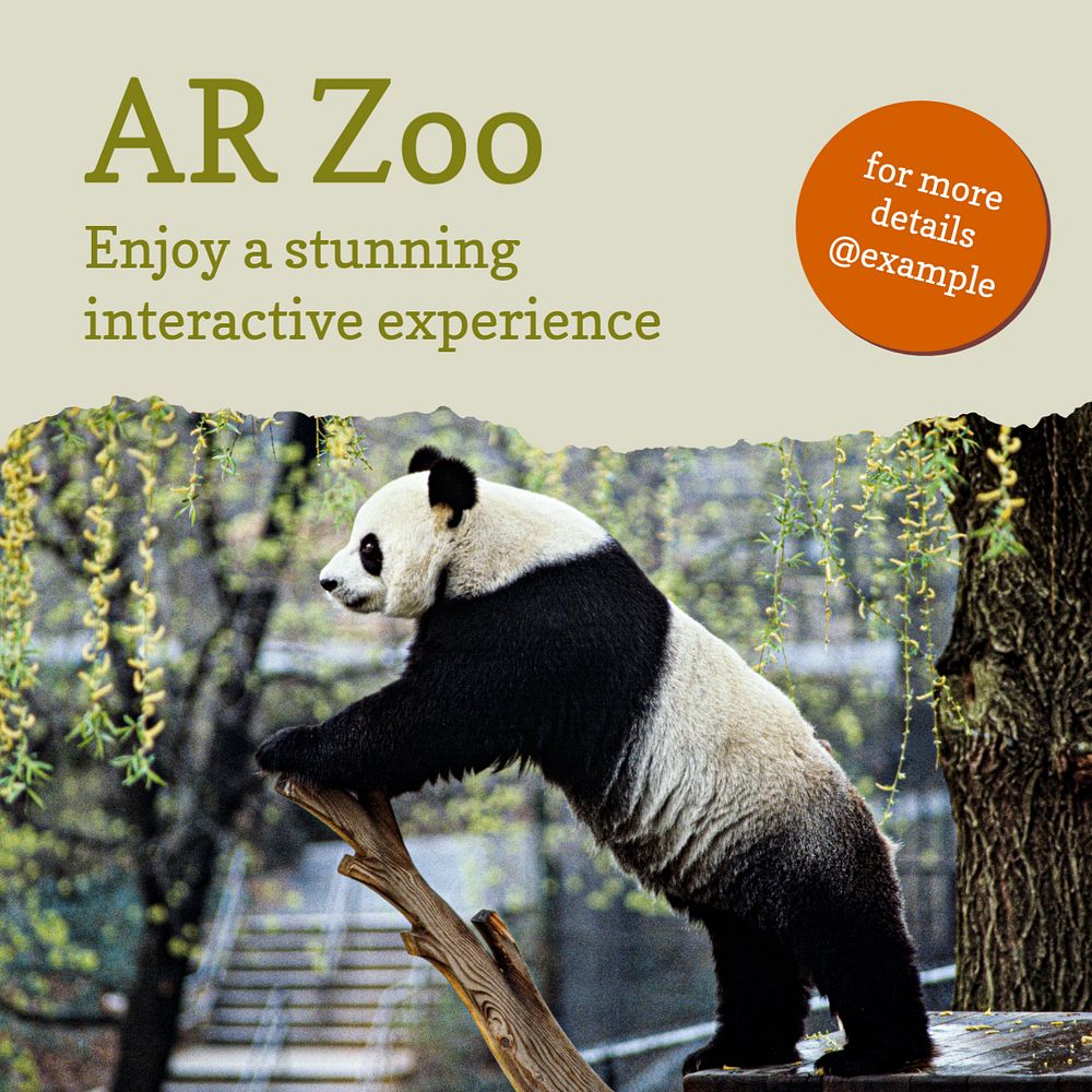 AR zoo Instagram post template, editable text