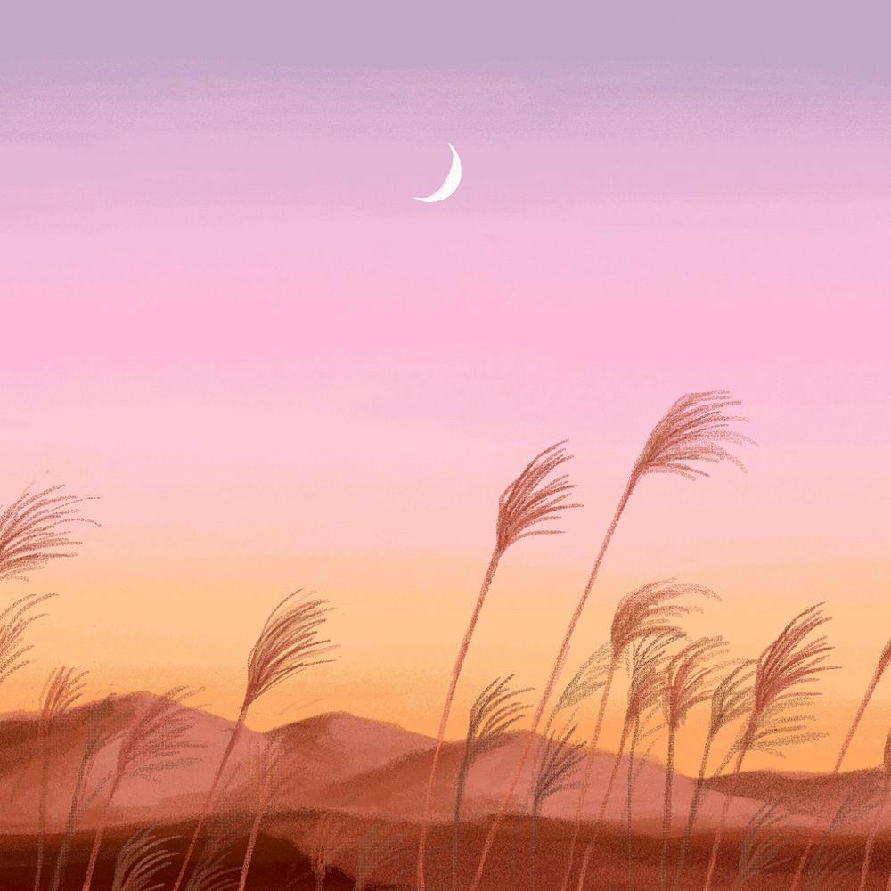 Editable sunset desert grass, painting illustration