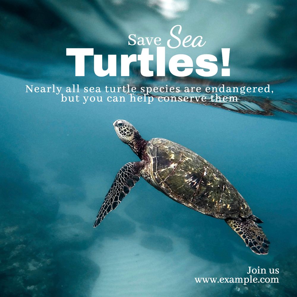 Save sea turtles Instagram post template, editable text