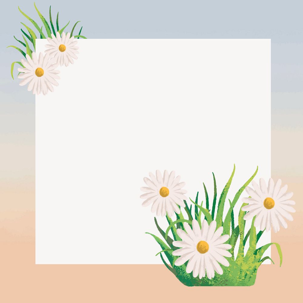 Editable daisy flower gradient frame, painting illustration