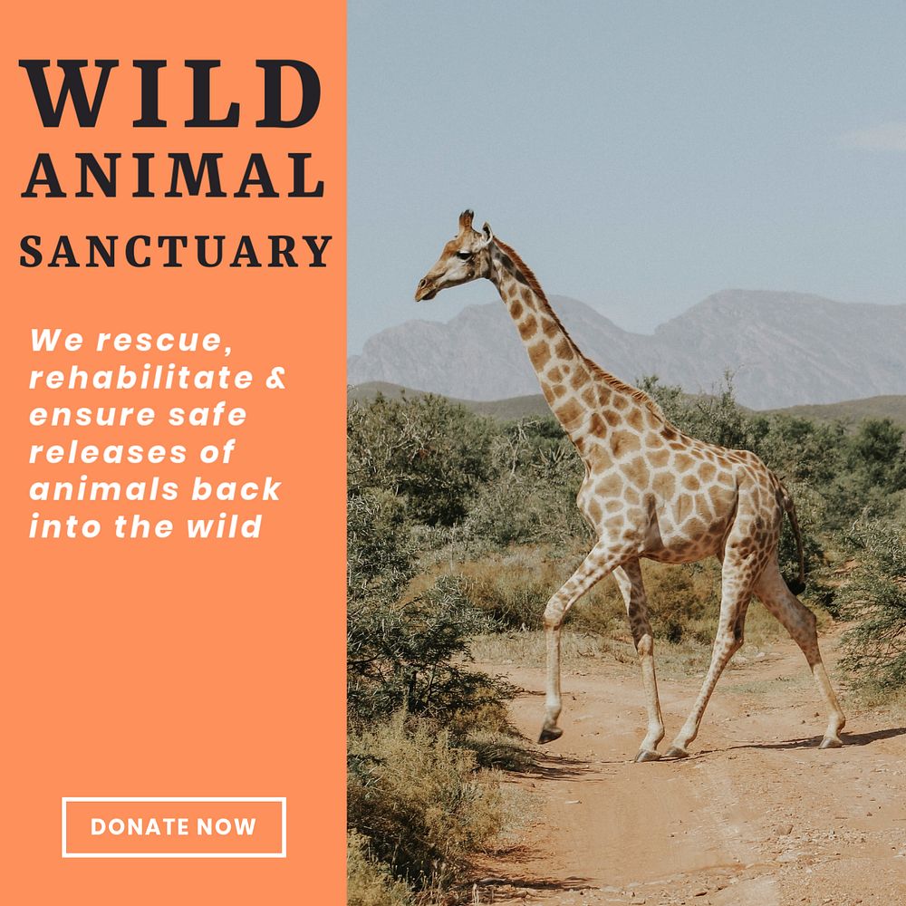 Wildlife sanctuary Instagram post template, editable text