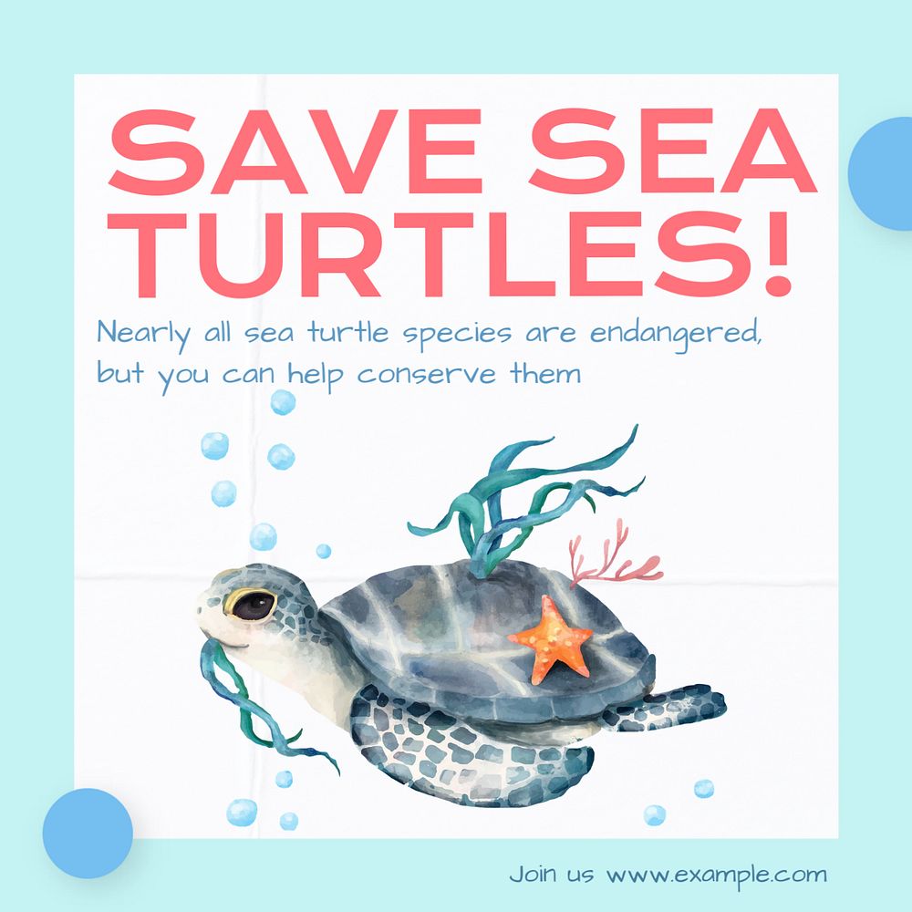 Save sea turtles Instagram post template, editable text