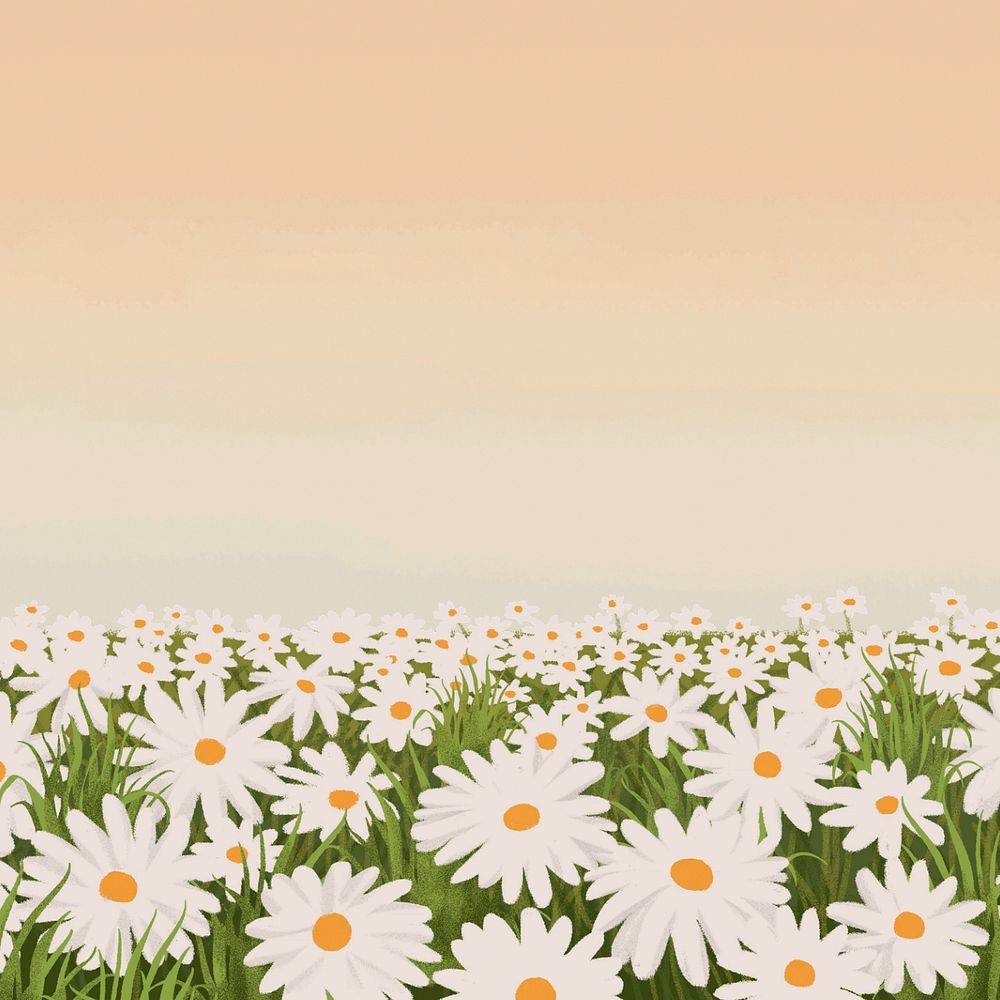 Editable daisy flower field, painting illustration