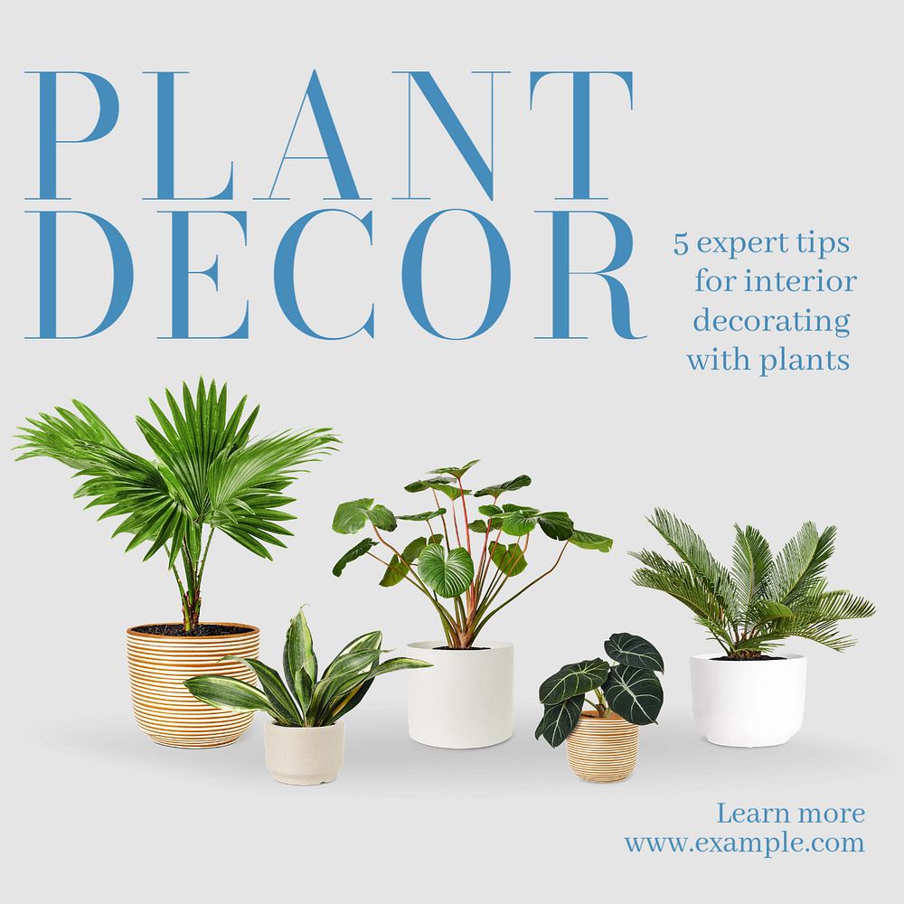 Plant decor Instagram post template, editable text