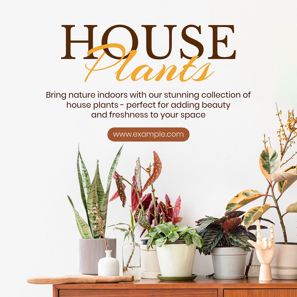 House plants Instagram post template, editable text