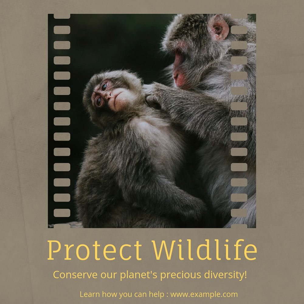 Protect wildlife Instagram post template, editable text