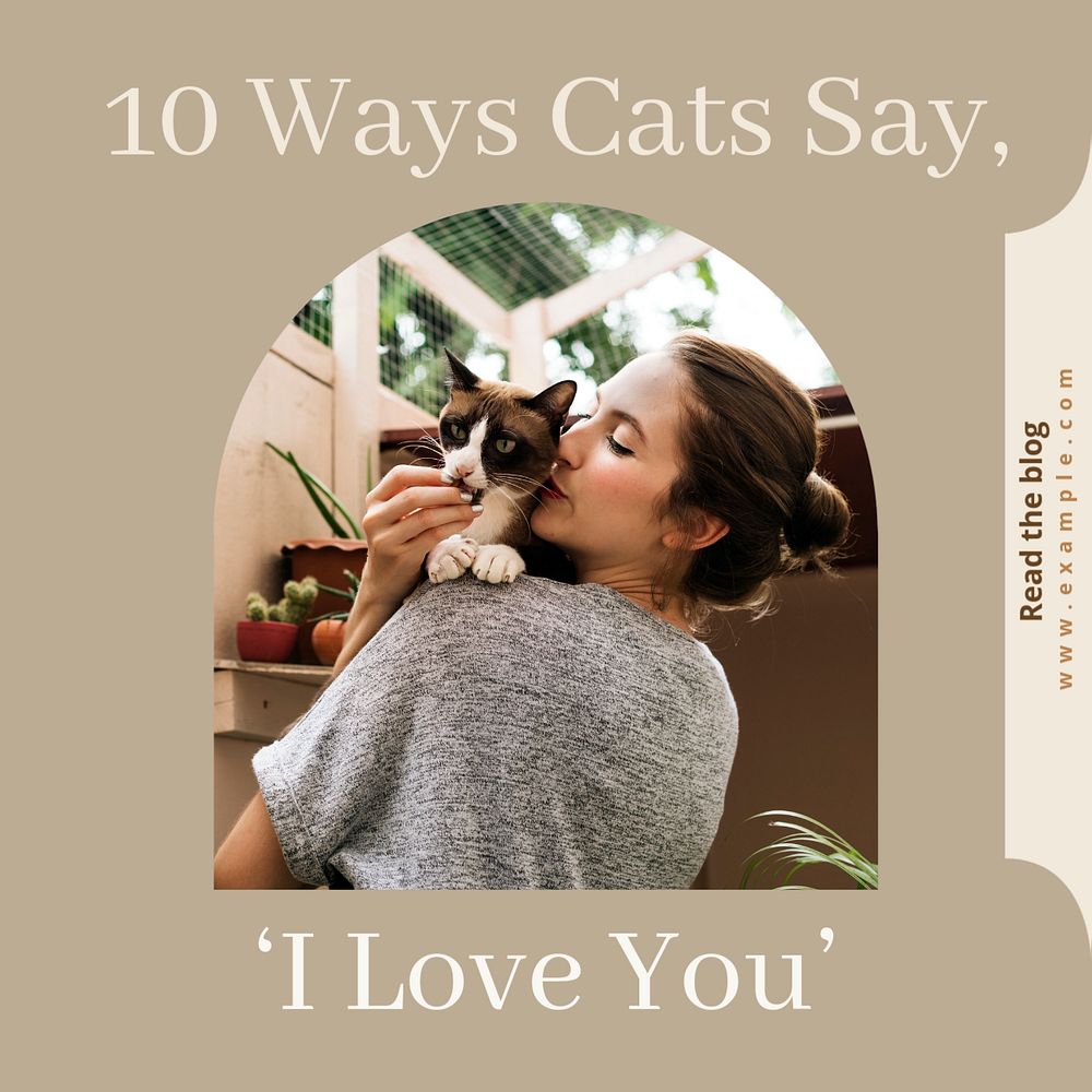 Cat lovers Instagram post template, editable text