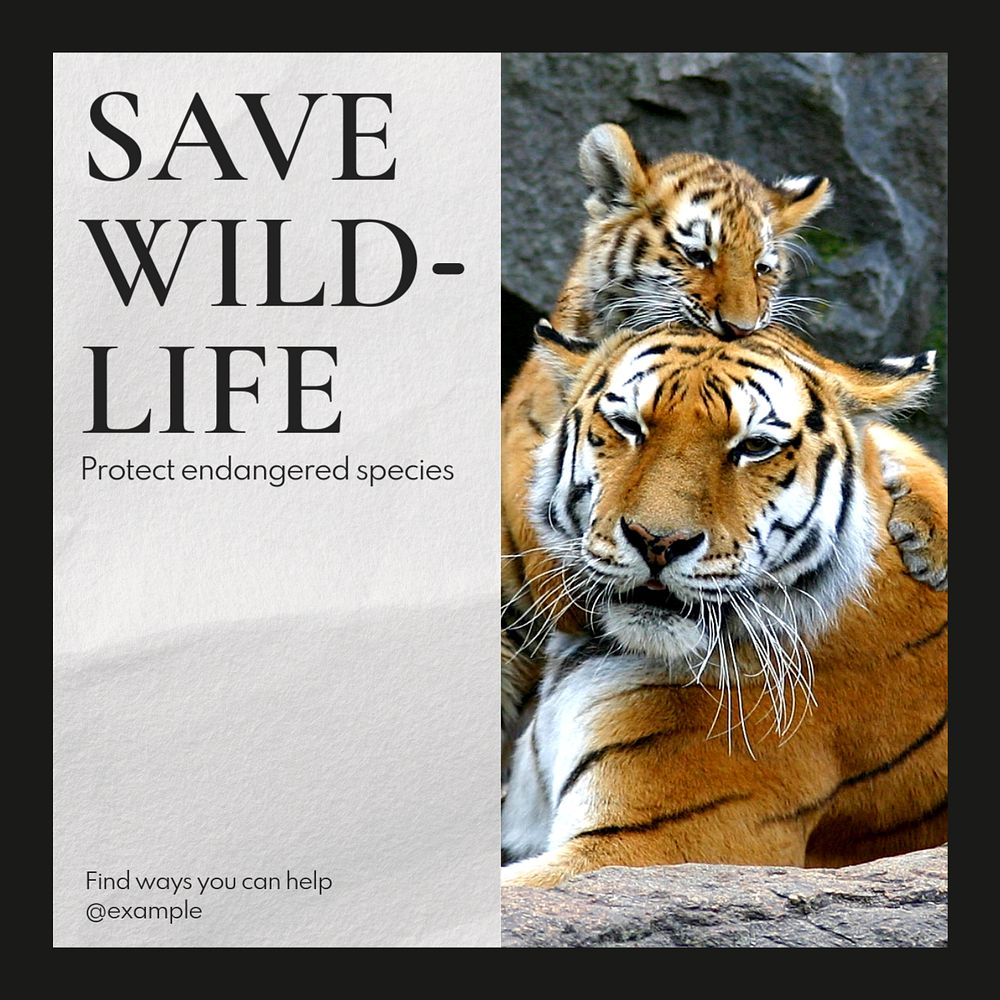 Save wildlife Instagram post template, editable text