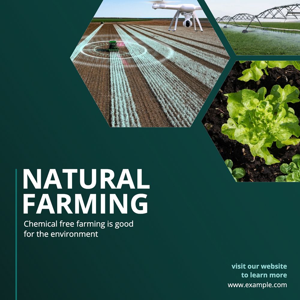 Organic farming Instagram post template, editable text