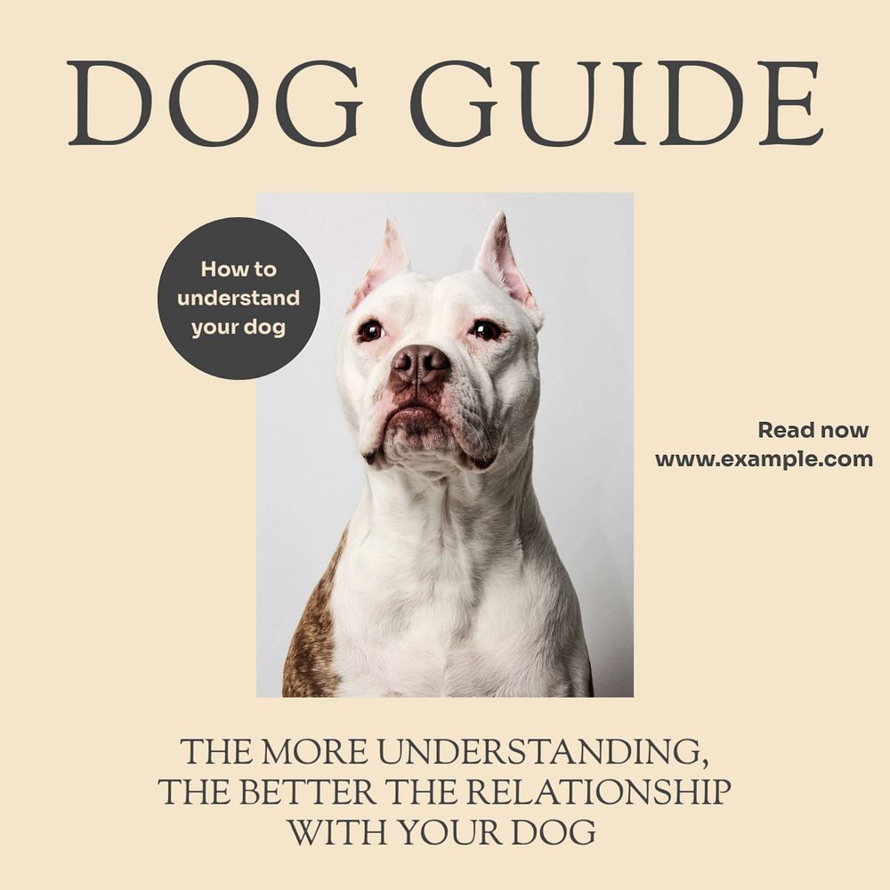 Dog guide Instagram post template, editable text