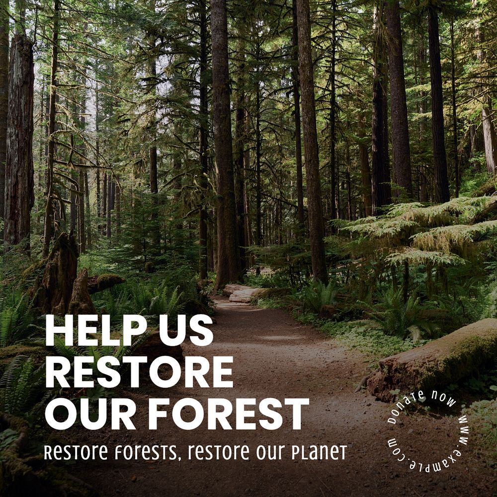 Forest restoration Instagram post template, editable text