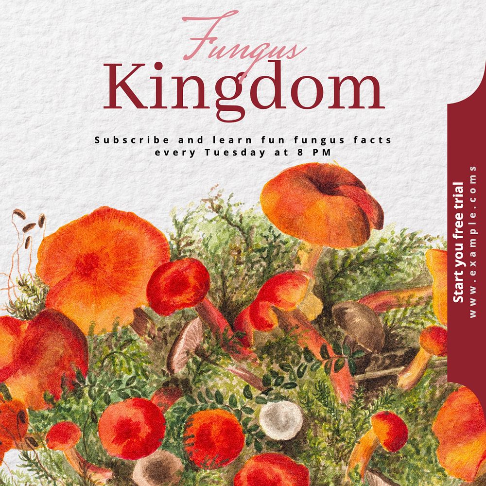 Fungus kingdom Instagram post template, editable text