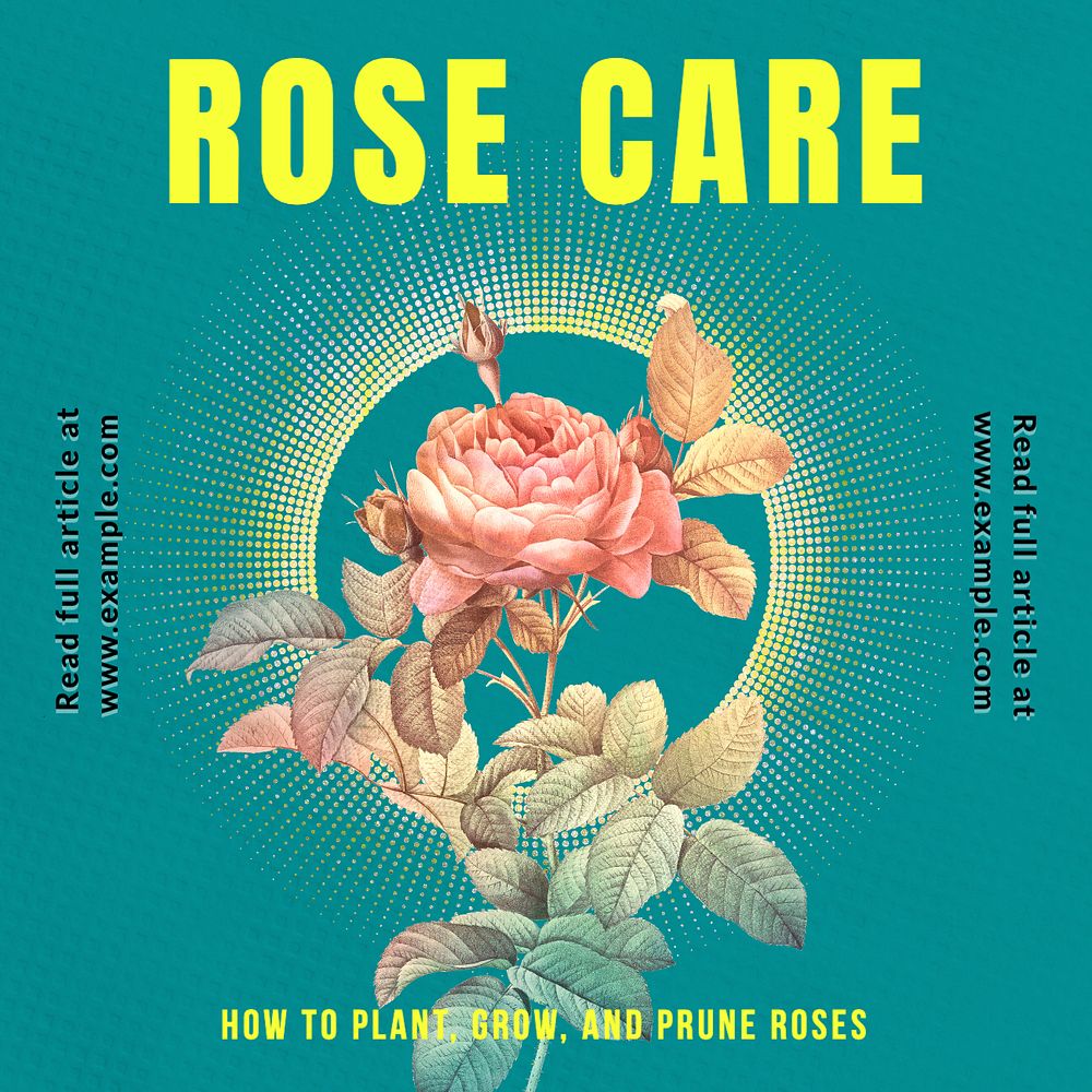 Rose care Instagram post template, editable text