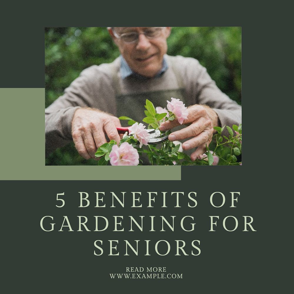 Gardening for seniors Instagram post template, editable text