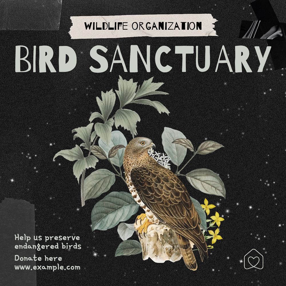 Bird sanctuary Instagram post template, editable text