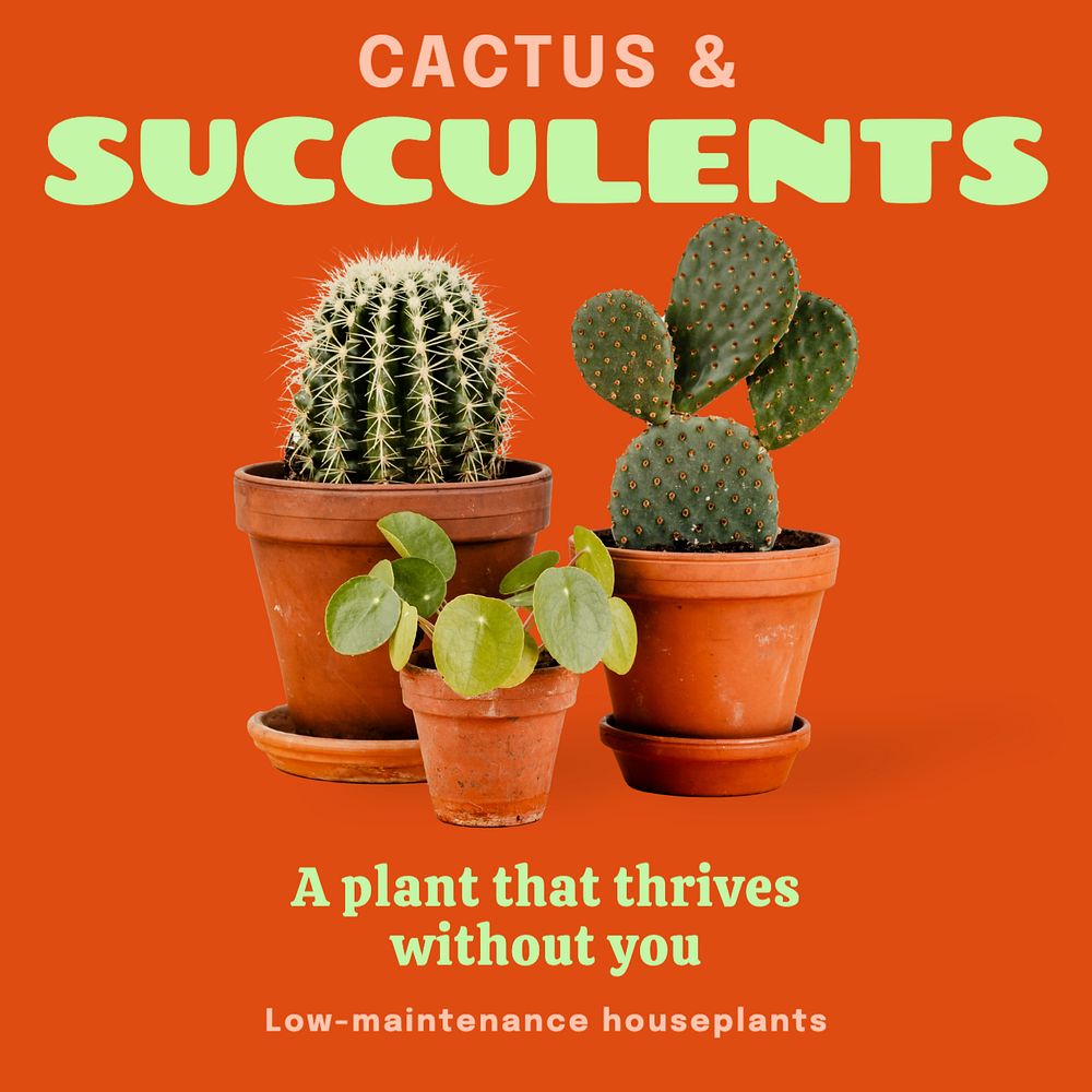 Succulents Instagram post template, editable text