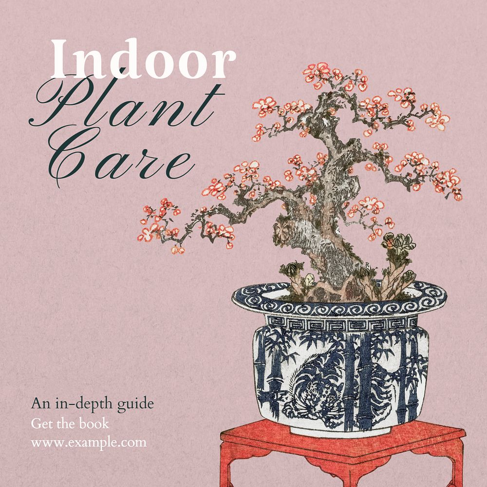 Indoor plant care Instagram post template, editable text