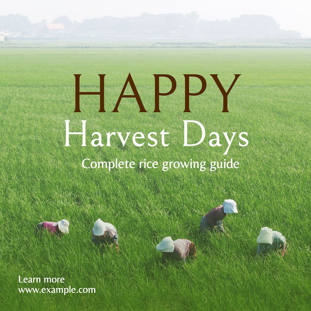 Harvest Instagram post template, editable text