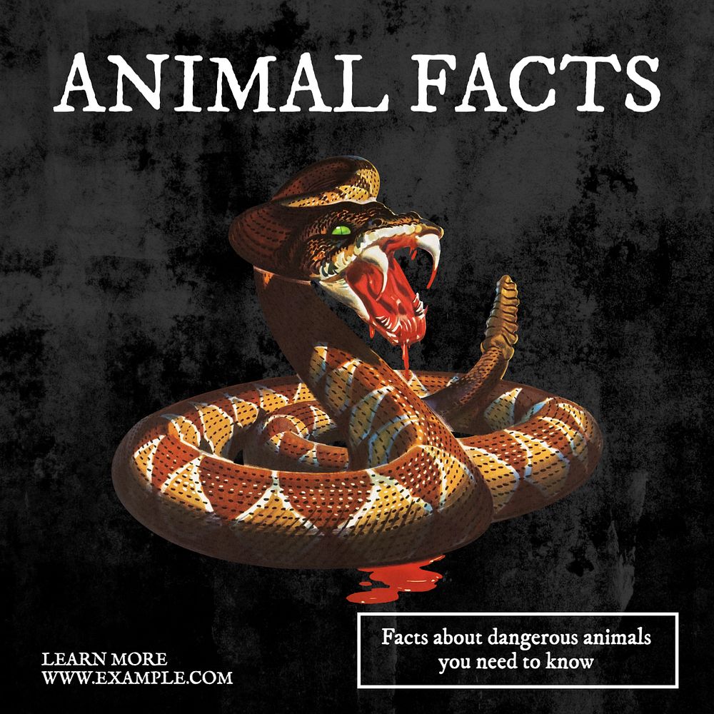 Animal facts Instagram post template, editable text