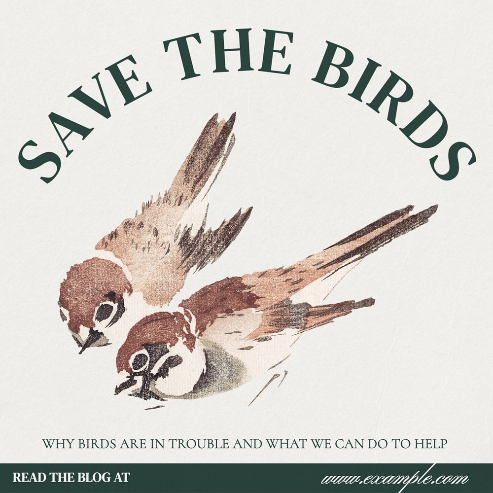 Save the birds Instagram post template, editable text