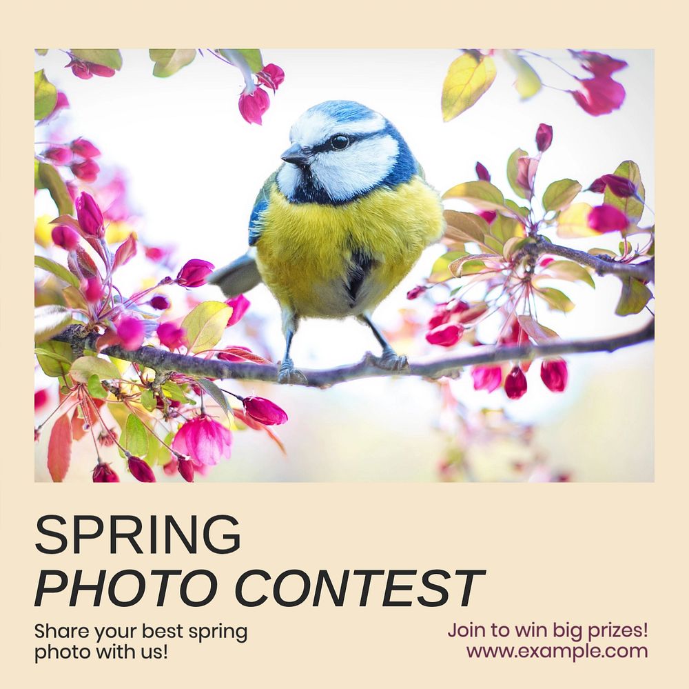 Spring photo contest Instagram post template, editable text